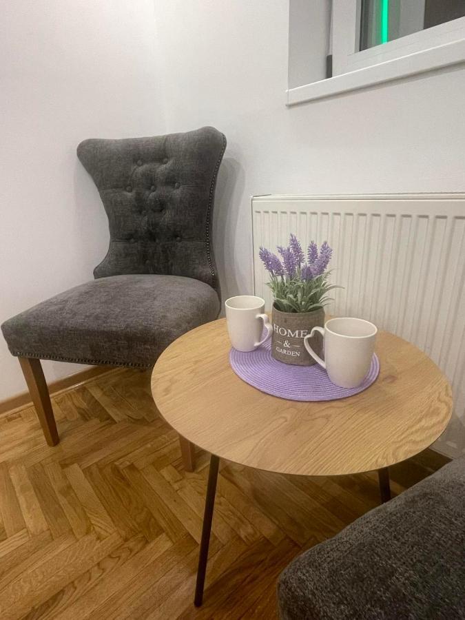 Vmaks Apartman Valentina Vodnika Apartment Novi Sad Luaran gambar